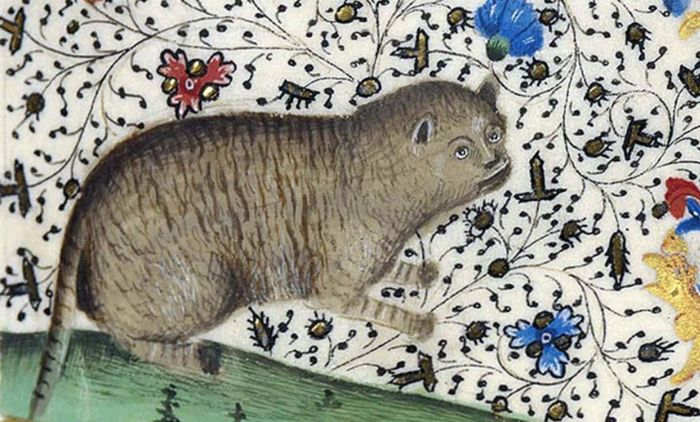 Os gatos na Idade Média – Animal Business Brasil